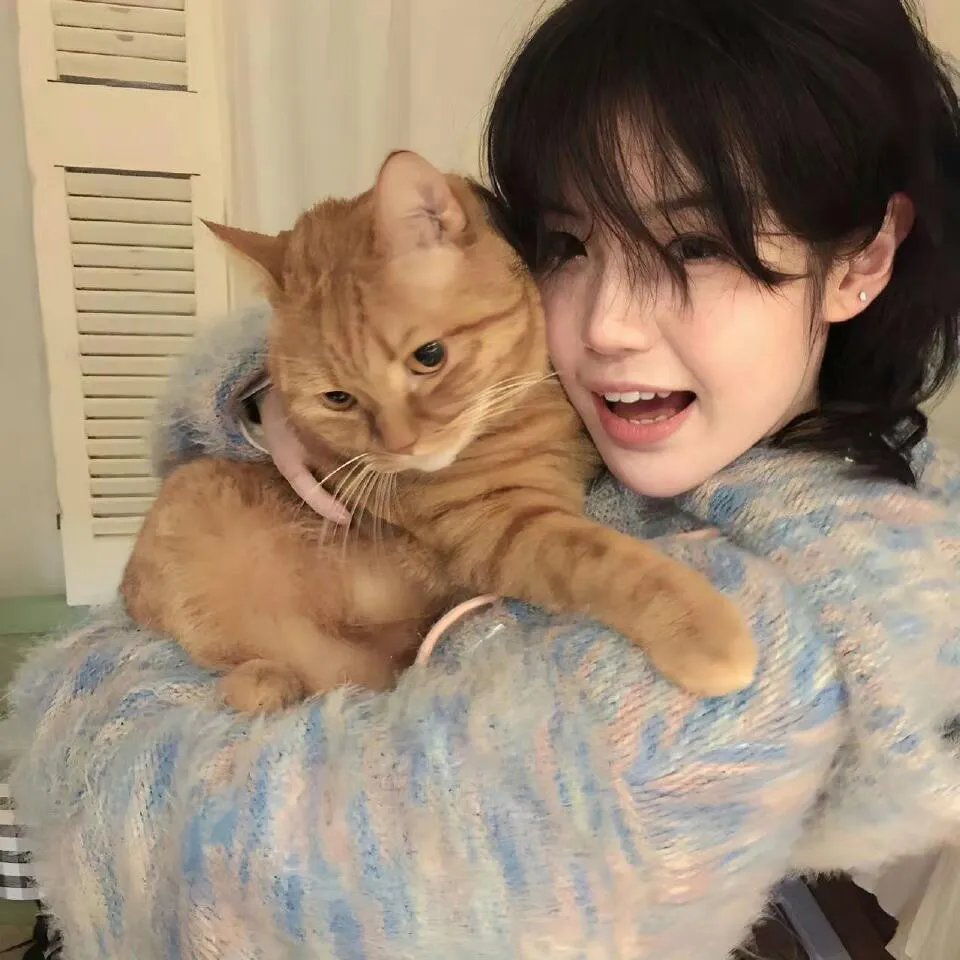 东京罪恶第二季